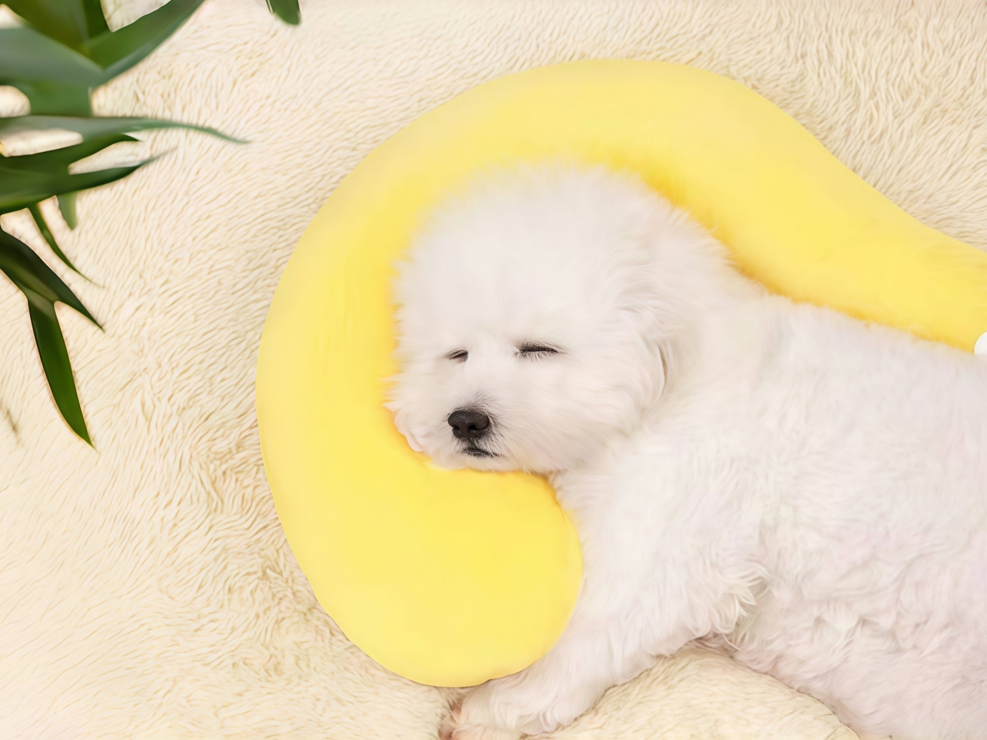 It's Getting Cold! This Deep-Sleep Pet Bed Has Dogs Snoring Instantly