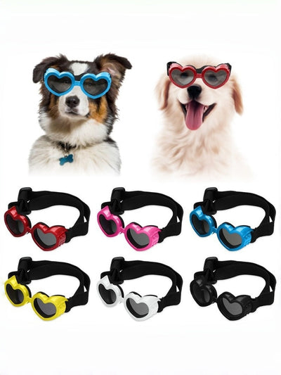 Windy Walks, But Make It Cute 😎✨ The Dopamine Goggles Your Pet Can Actually Wear