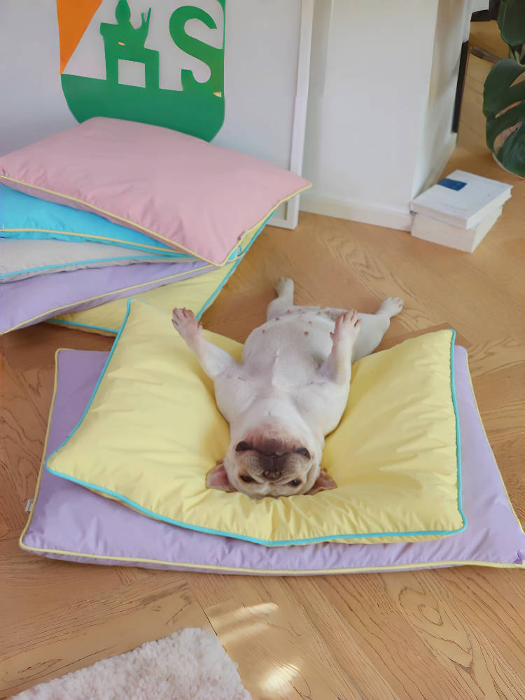Cool, Clean, Dopamine: The Waterproof Cooling Mat That Survives Summer (and Accidents)