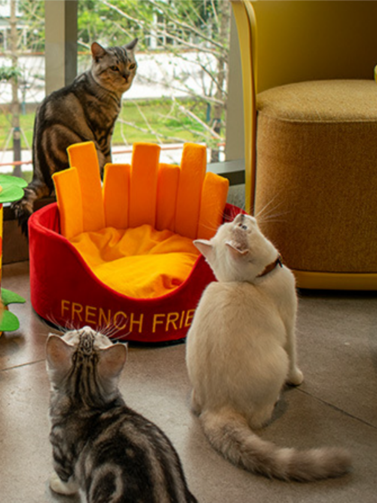 Snack-Mode Dopamine: The French Fries Cat Bed That Makes Naps Look Delicious 🍟😼