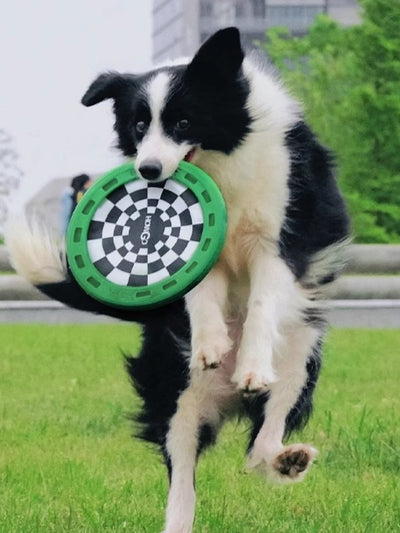 Snack-Powered Fetch ✨🍊 The Treat-Groove Frisbee That Turns “No Recall” Into “Watch Me!”