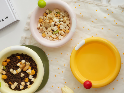 Is the Bowl Causing Your Cat's Chin Acne? A Shop Owner Urges: Switch to This Ceramic Elevated Bowl