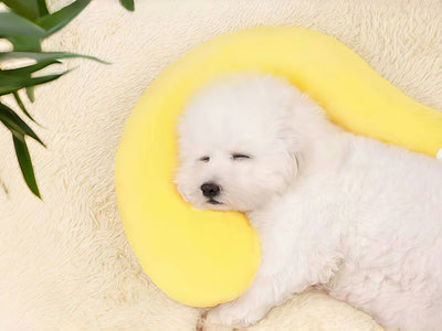 It's Getting Cold! This Deep-Sleep Pet Bed Has Dogs Snoring Instantly