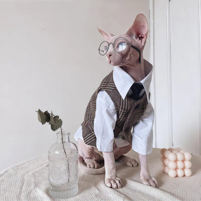 British Gentlecat Energy ✨🐾 Sphynx Suit-Up Sets for Cozy Skin + Maximum “Main Character” Photos