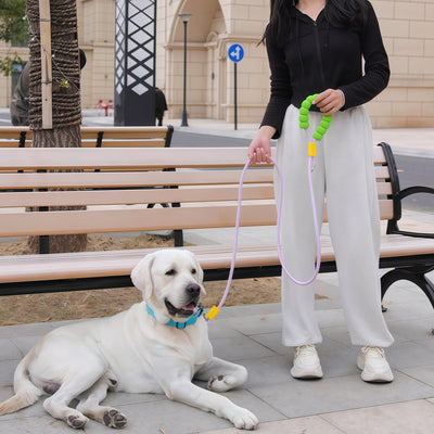 Stop the Dash ✨🐕 A Candy-Color Safety Leash for Small Dogs Who Think Every Walk Is a Sprint