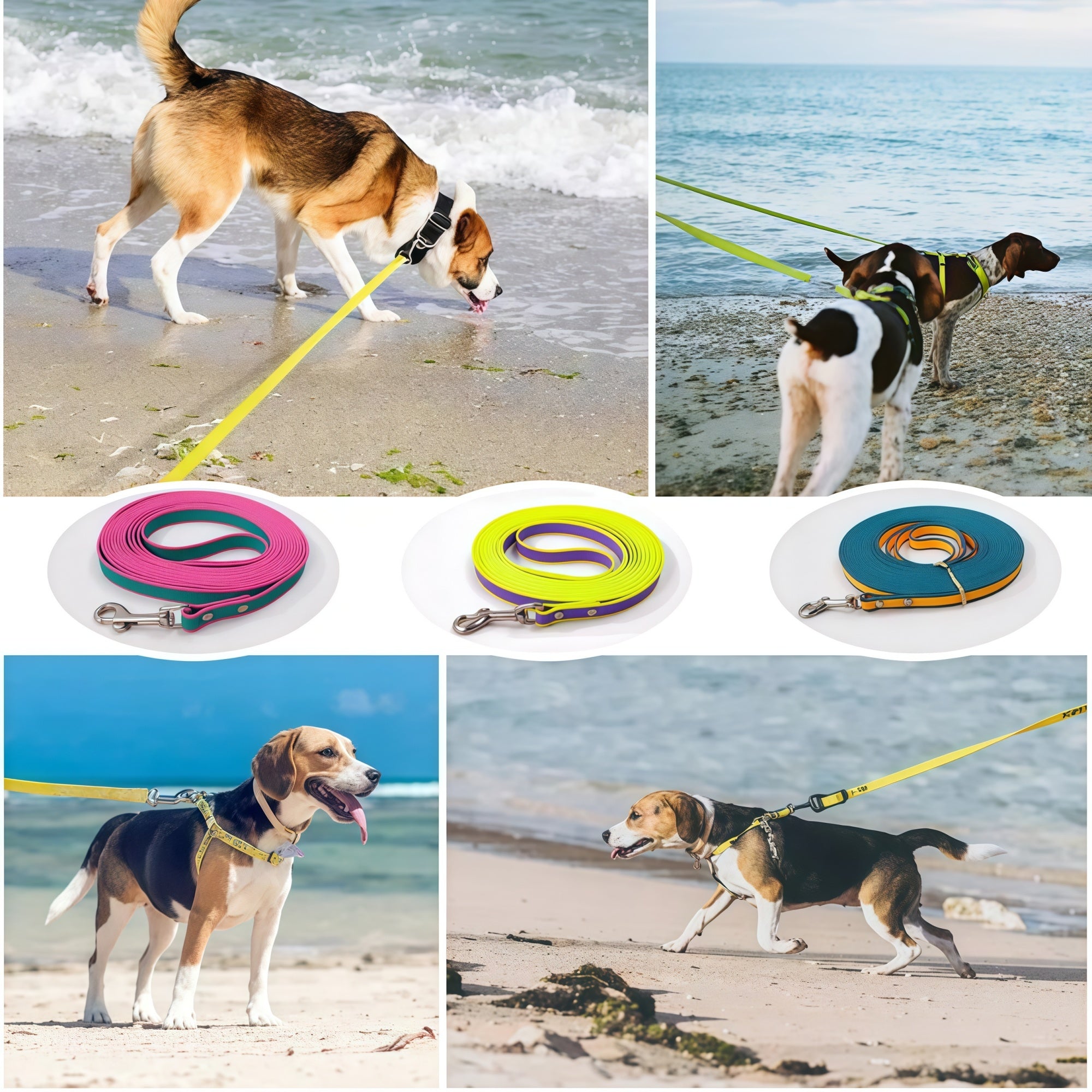 Let Them Roam (Without Losing Control) ✨🌈 The Waterproof Long Line for Recall, Trails & Beach Days