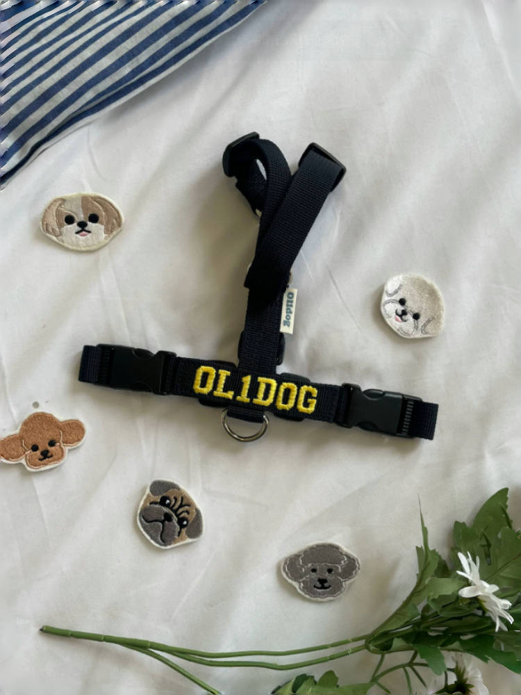 Custom-Name H Harness