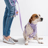 No Pull Dog Harness Leash Set