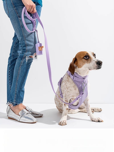 No Pull Dog Harness Leash Set