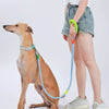 Hands-Free Anti-Pull Dog Leash