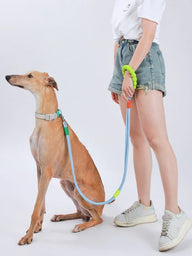 Hands-Free Anti-Pull Dog Leash