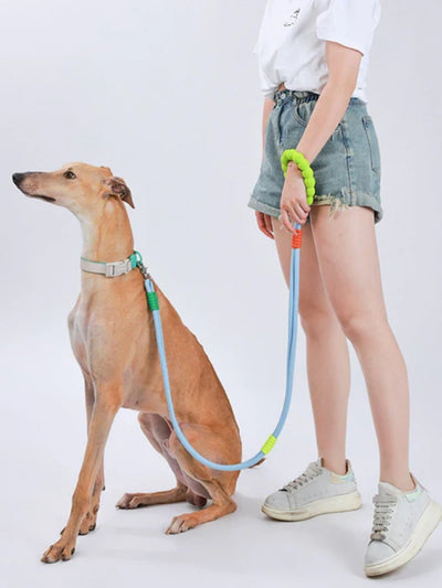 Hands-Free Anti-Pull Dog Leash