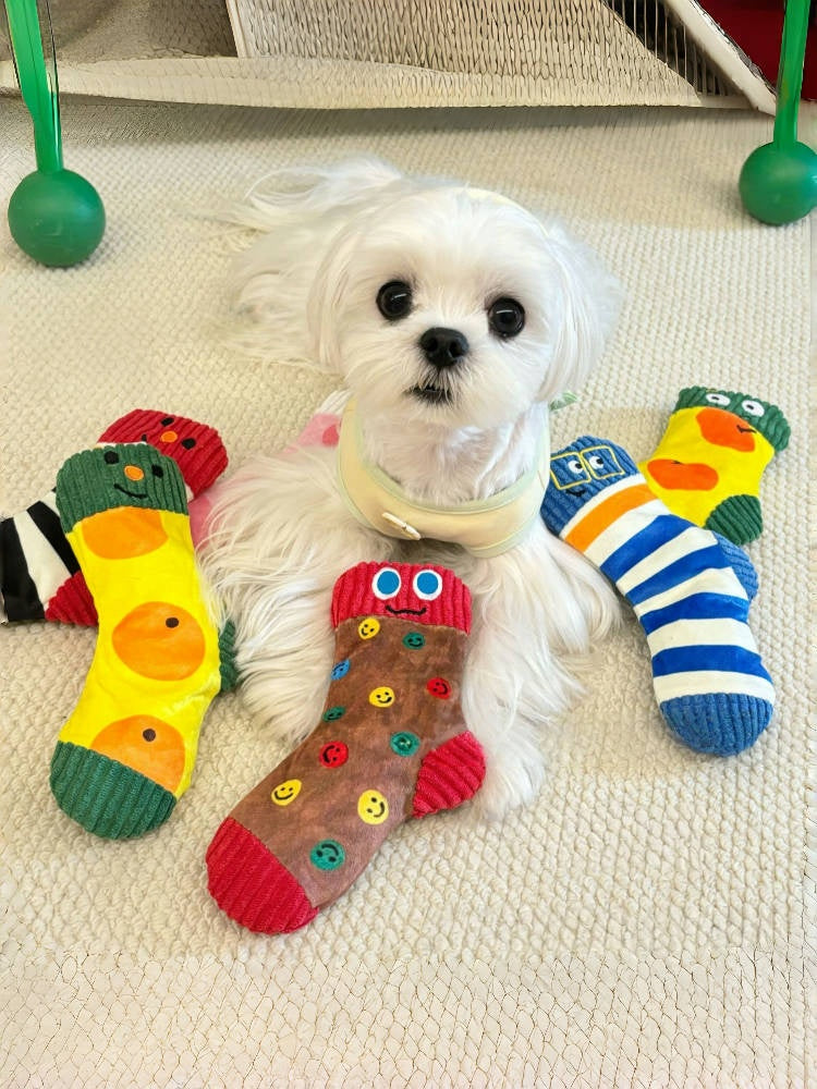 Sock Plush Squeaky Dog Toy