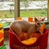 French Fries Cat Bed