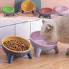 Ergonomic Tilted Cat Bowl