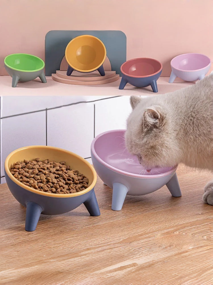 Ergonomic Tilted Cat Bowl