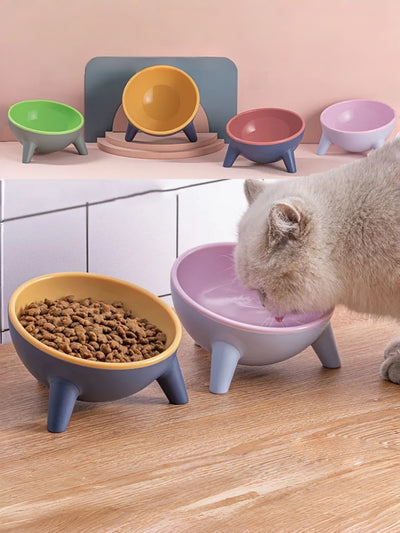 Ergonomic Tilted Cat Bowl