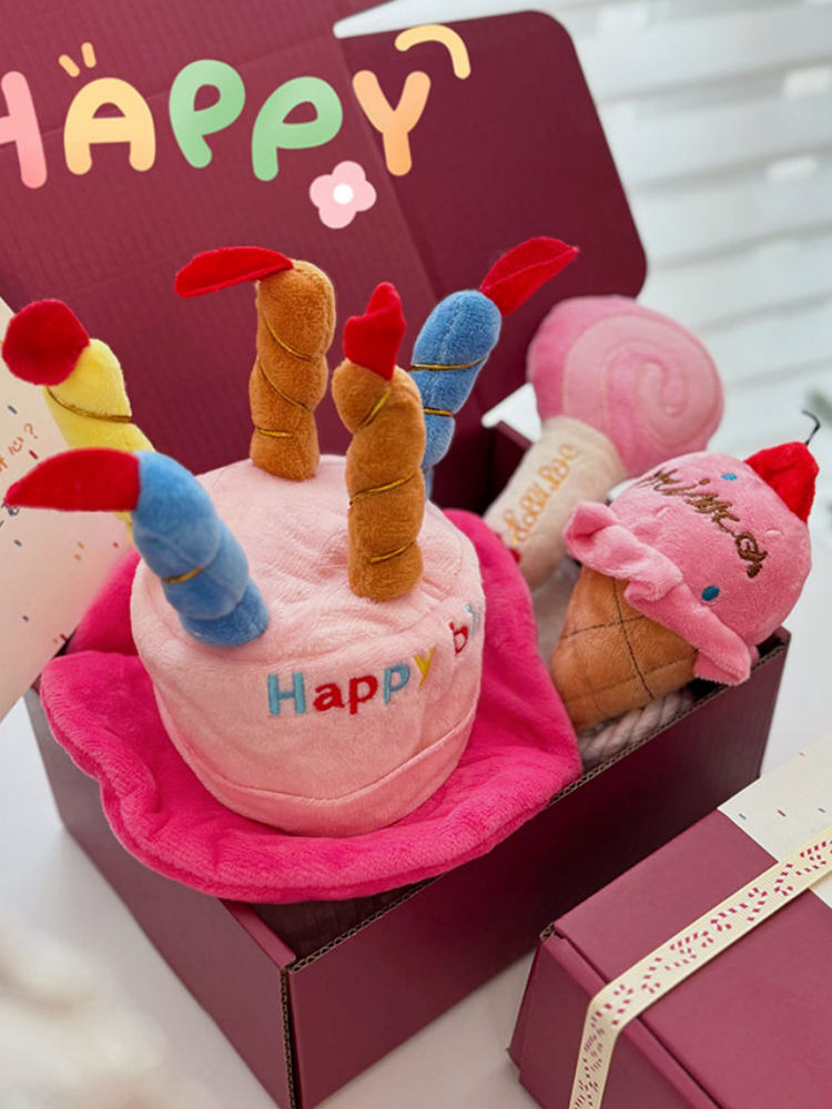 Pet Plush Toy Birthday Gift Set