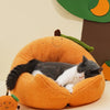 “Orange Hug” Pet Bed