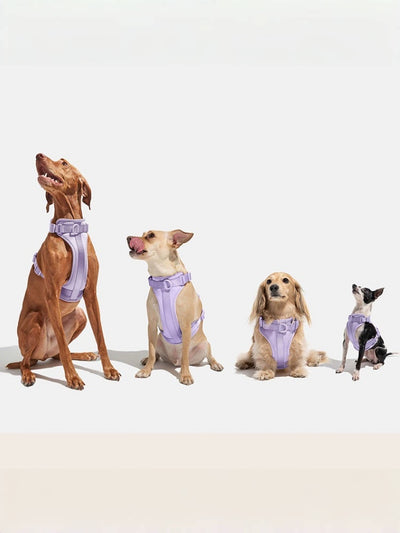 No Pull Dog Harness Leash Set