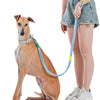 Hands-Free Anti-Pull Dog Leash