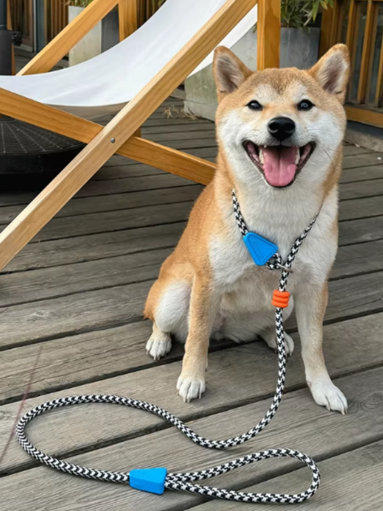 No-Pull Shock-Absorbing Dog Leash