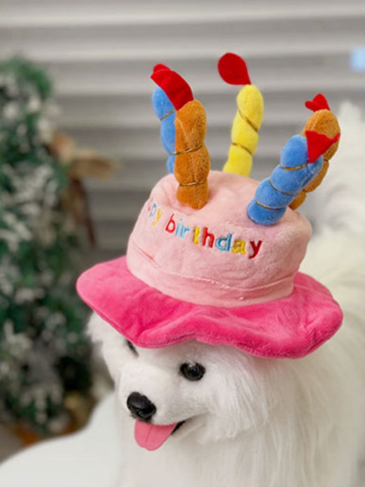 Pet Plush Toy Birthday Gift Set
