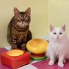 Dopamine Ceramic Cat & Dog Bowls
