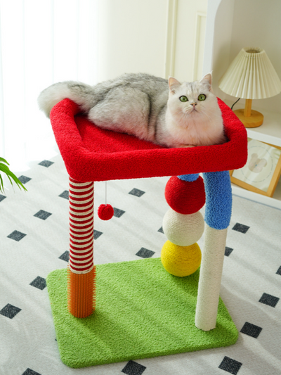 Colorful U-Tube Cat Tree