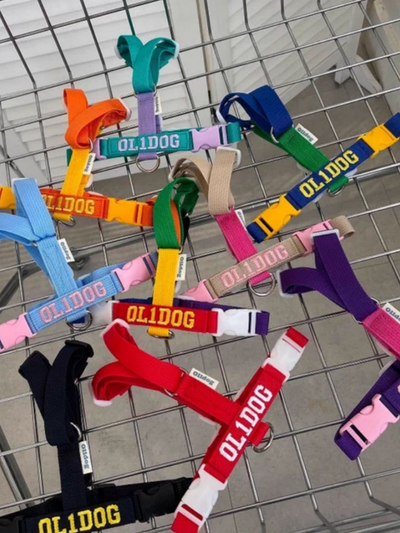 Custom-Name H Harness