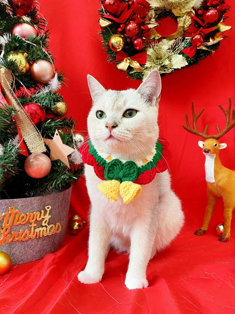 Handwoven Holiday Pet Collar Bib