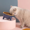 Ergonomic Tilted Cat Bowl