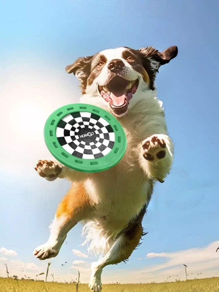 HOWGO Treat-Groove Dog Frisbee
