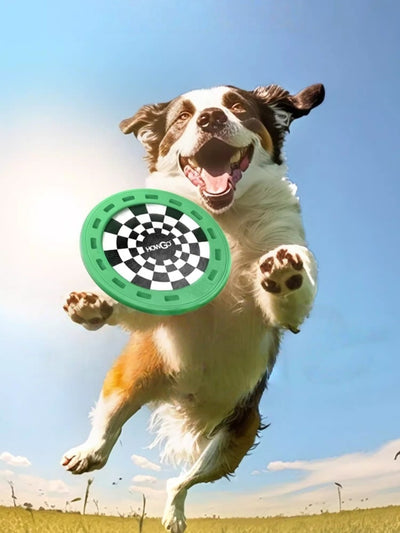 HOWGO Treat-Groove Dog Frisbee