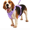 No Pull Dog Harness Leash Set