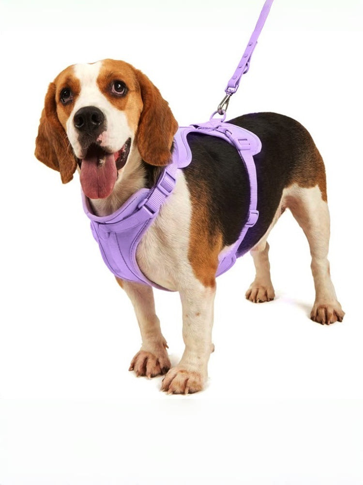 No Pull Dog Harness Leash Set
