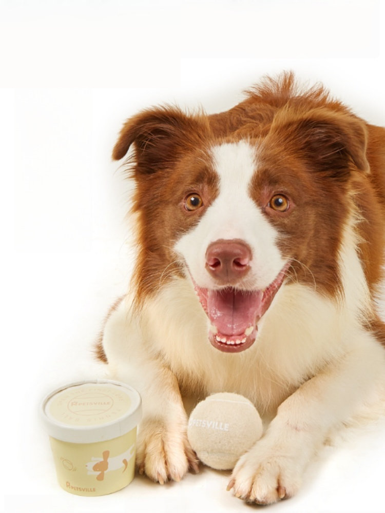 PETSVILLE Outdoor Dog Tennis Ball