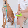 Hands-Free Anti-Pull Dog Leash