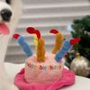 Pet Plush Toy Birthday Gift Set