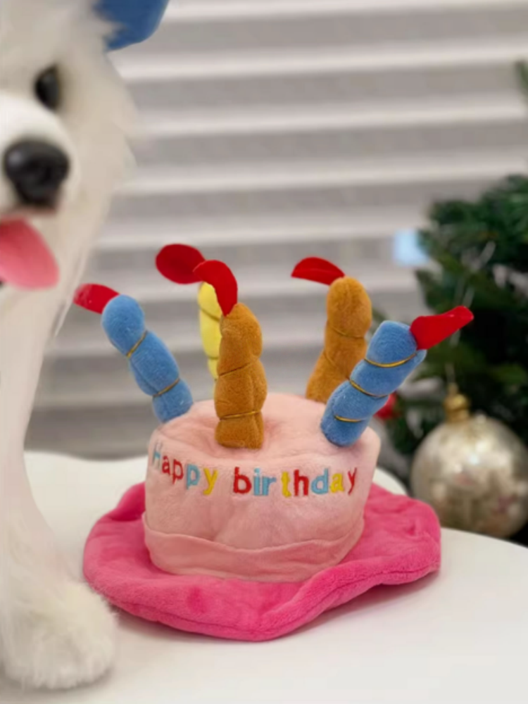 Pet Plush Toy Birthday Gift Set