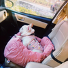 Portable Dog Car Seat Cushion