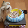 “Playful Bowls” Pet Bowl