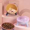 Ergonomic Tilted Cat Bowl
