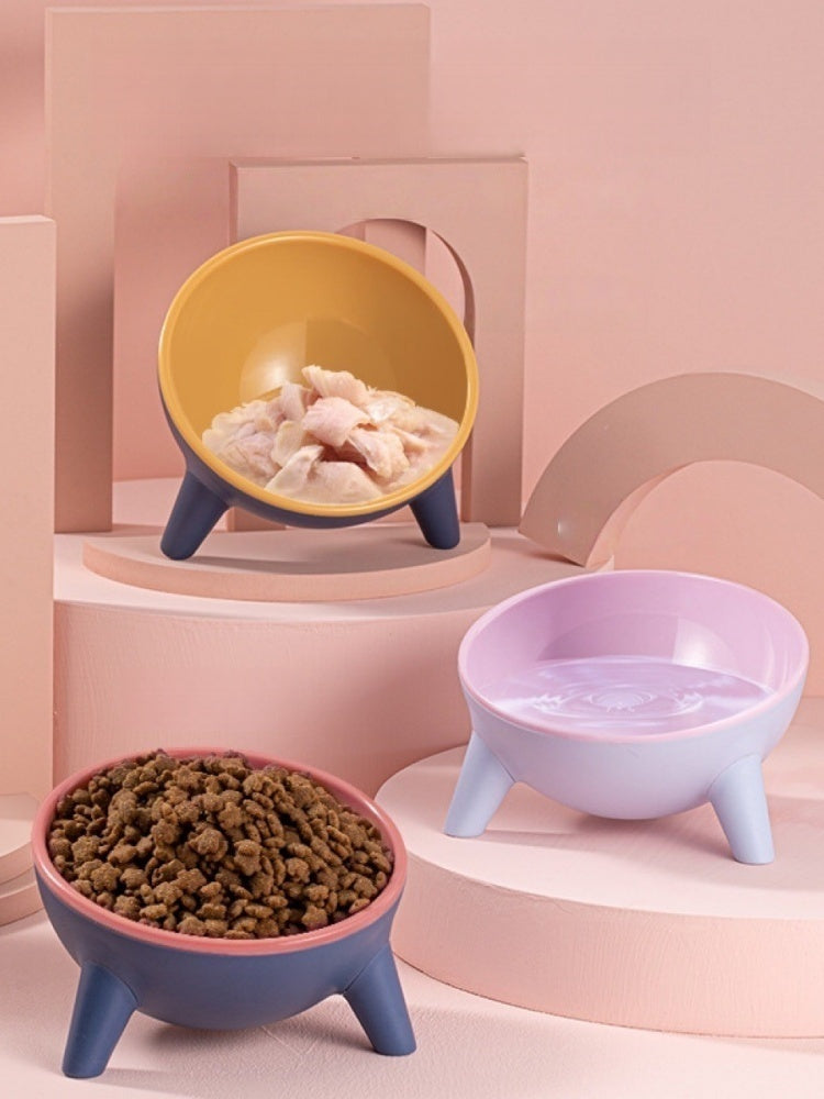 Ergonomic Tilted Cat Bowl