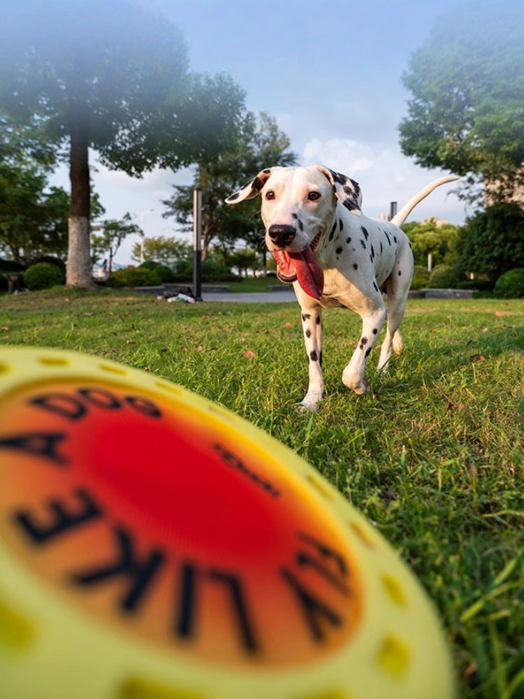 HOWGO Treat-Groove Dog Frisbee