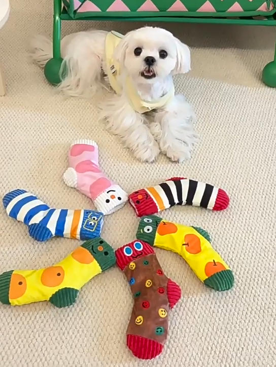 Sock Plush Squeaky Dog Toy