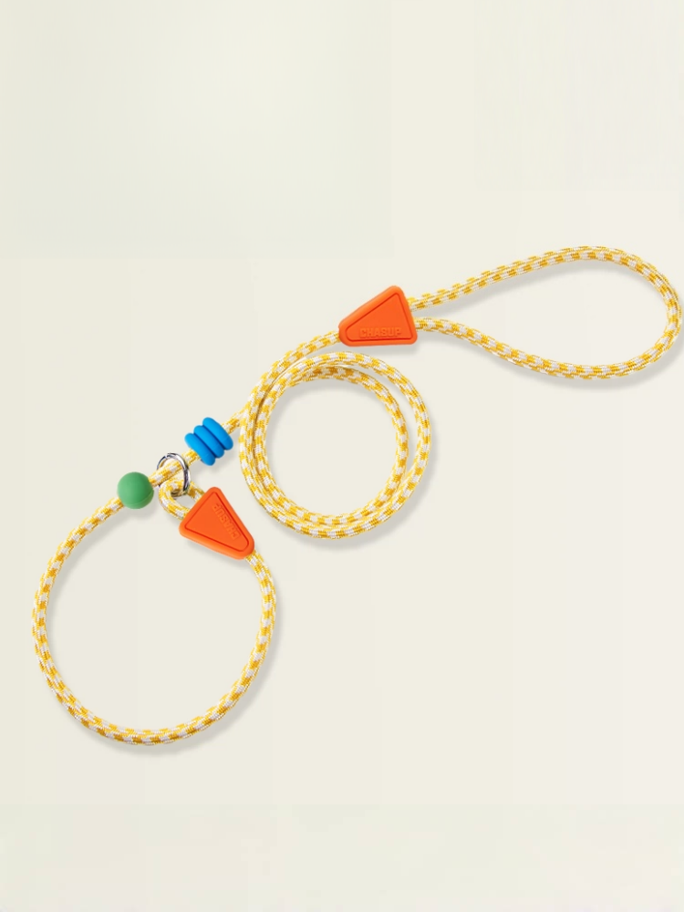 No-Pull Shock-Absorbing Dog Leash