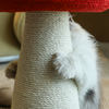 Red Mushroom Sisal Cat Scratcher