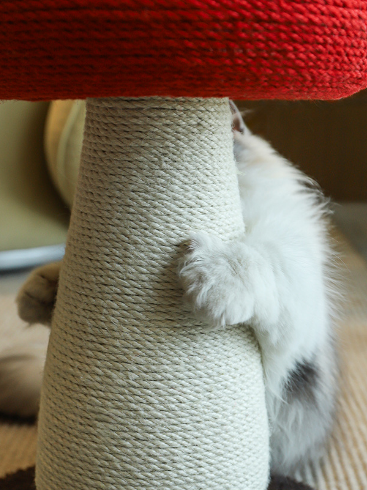 Red Mushroom Sisal Cat Scratcher