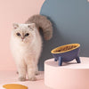 Ergonomic Tilted Cat Bowl